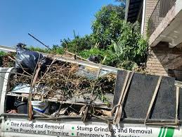 Best Foreclosure Cleanout  in Alamogordo, NM